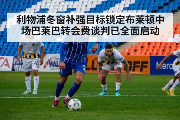 Brighton midfielder player