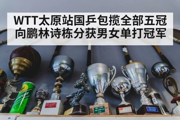 WTT太原站国乒包揽全部五冠 向鹏林诗栋分获男女单打冠军
